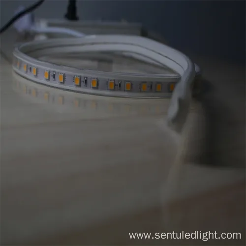 60LED/M 220V 10W LED High Voltage Flexible Strip